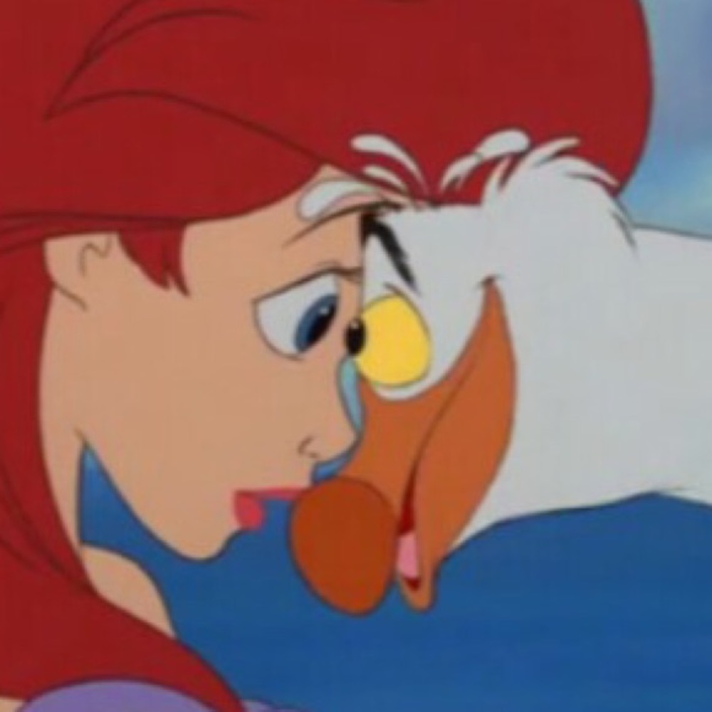 Meet your Posher, Cami